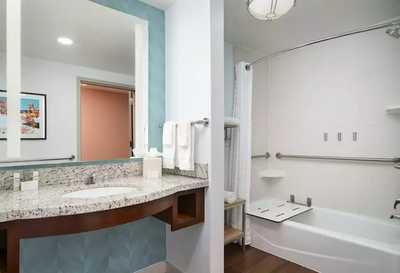 スタンダードルーム, Hilton Garden Inn Atlanta Midtown