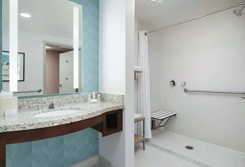 身障者適用スタンダードルーム, Hilton Garden Inn Atlanta Midtown