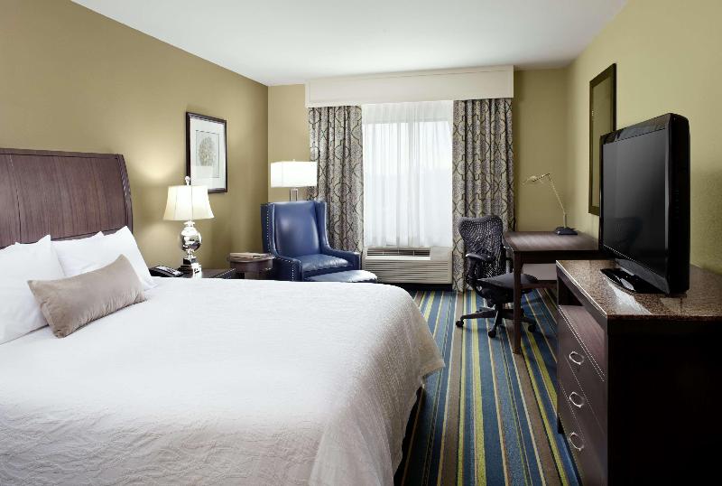 غرفة قياسية سرير كينج, Hilton Garden Inn Texarkana