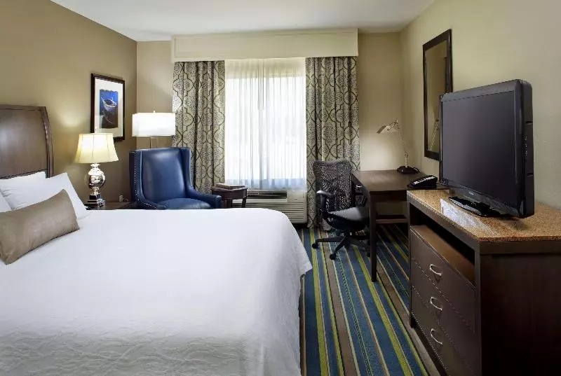 キングサイズベッドのスイートルーム, Hilton Garden Inn Texarkana