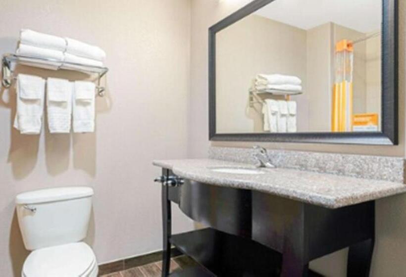장애인을 위한 킹사이즈 침대 스탠다드 룸, La Quinta By Wyndham Mcalester
