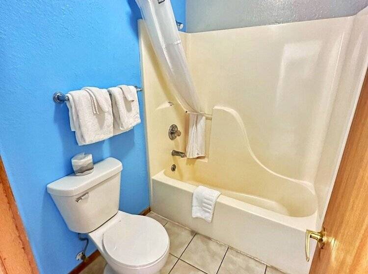 غرفه قياسيه سريرين مزدوجين, Night Inn