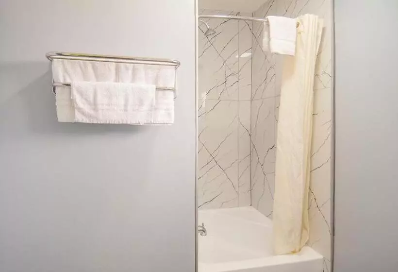 スタンダードシングルルーム, Executive Inn Fort Stockton