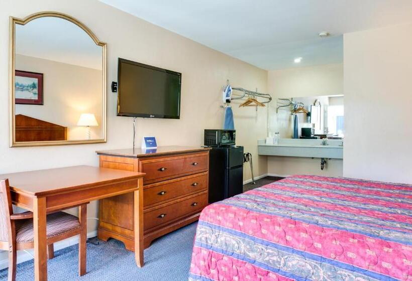 스탠다드 룸 킹사이즈 침대, Motel Moonlight