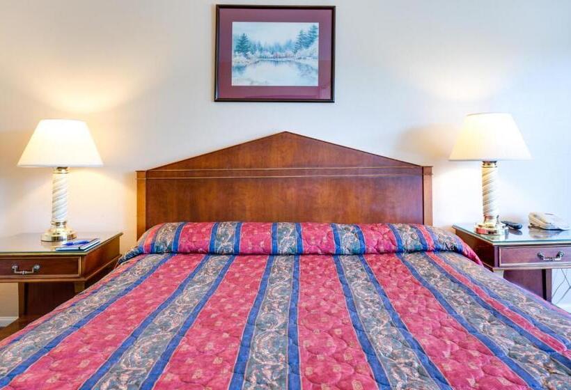 스탠다드 룸 킹사이즈 침대, Motel Moonlight