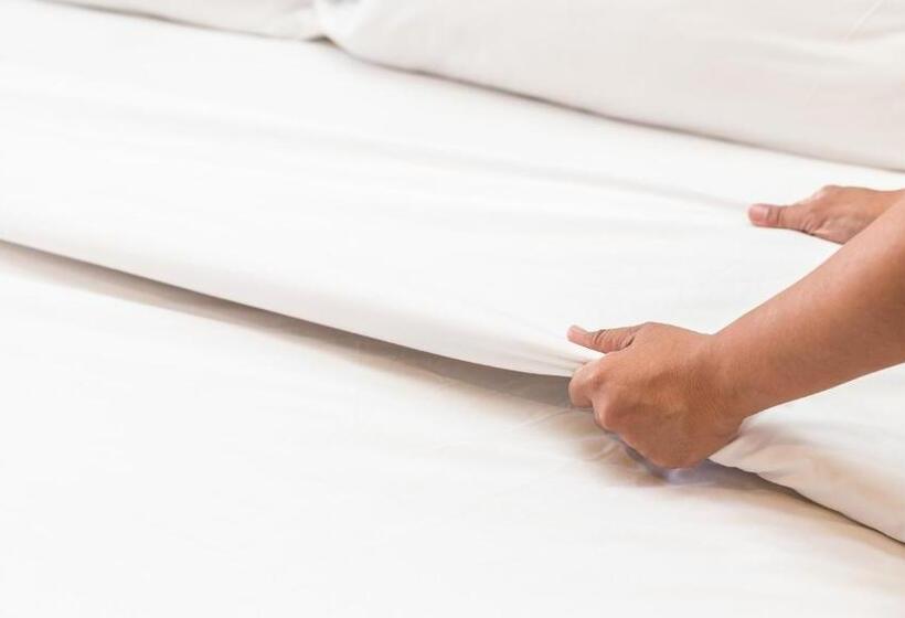 غرفه قياسيه سريرين مزدوجين, Royal Inn Linden