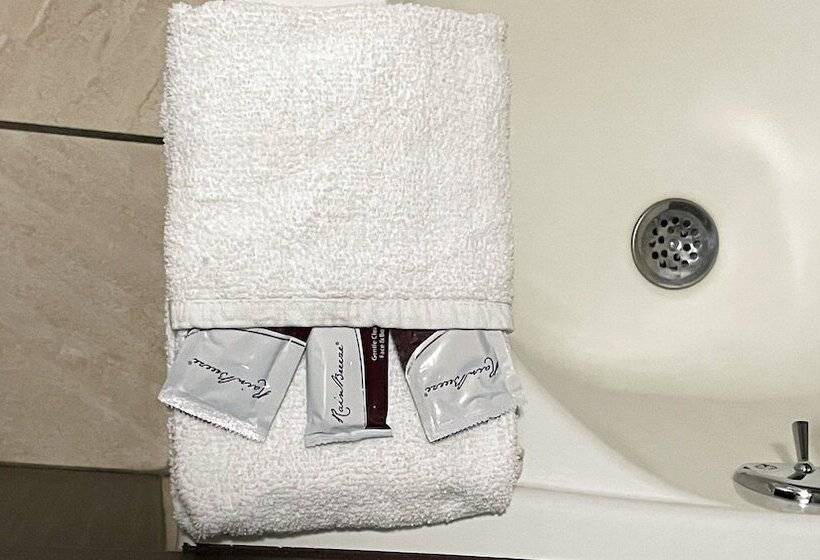 带2个双人床的标准工作室, Royal Inn Linden