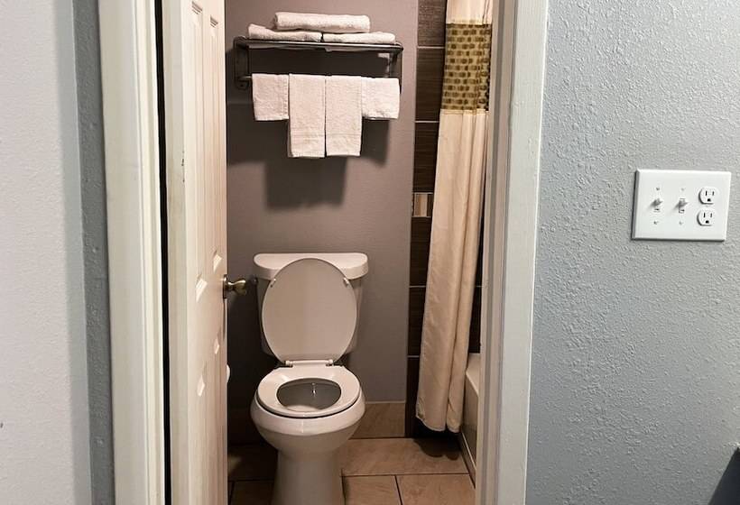 غرفه قياسيه سريرين مزدوجين, Royal Inn Linden