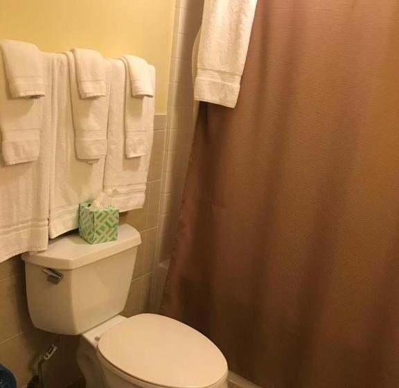 디럭스 스튜디오, The Sunview Motel