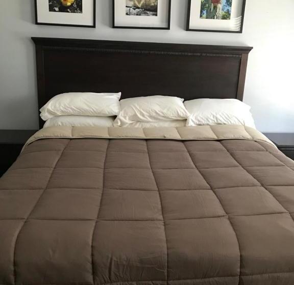 스탠다드 룸 킹사이즈 침대, The Sunview Motel