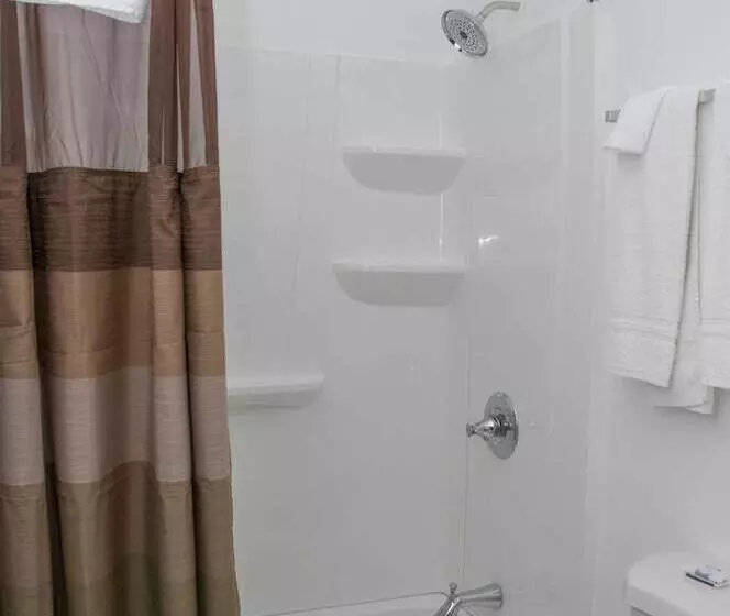 ２ダブルベッドのスタンダードルーム, Travelier Motel   Macon