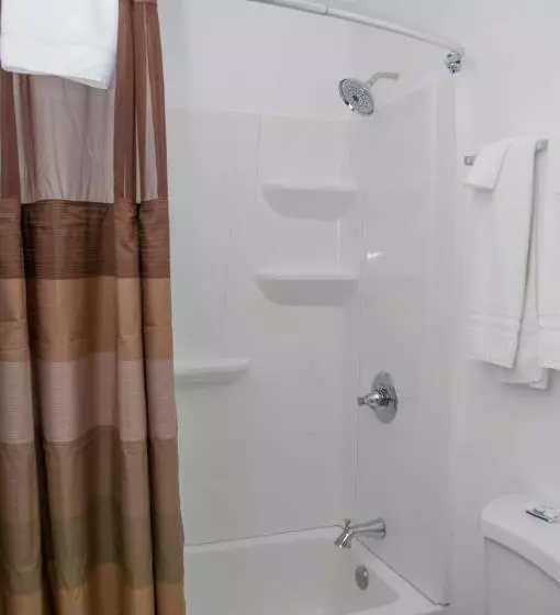 キングサイズベッドのスタンダードルーム, Travelier Motel   Macon