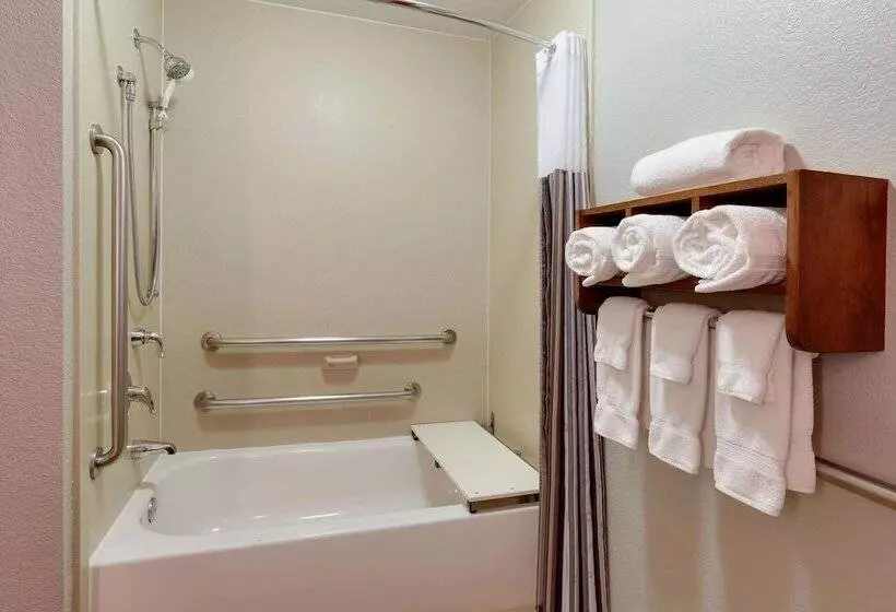 身障者適用スタンダードルーム, La Quinta By Wyndham Dallas Love Field