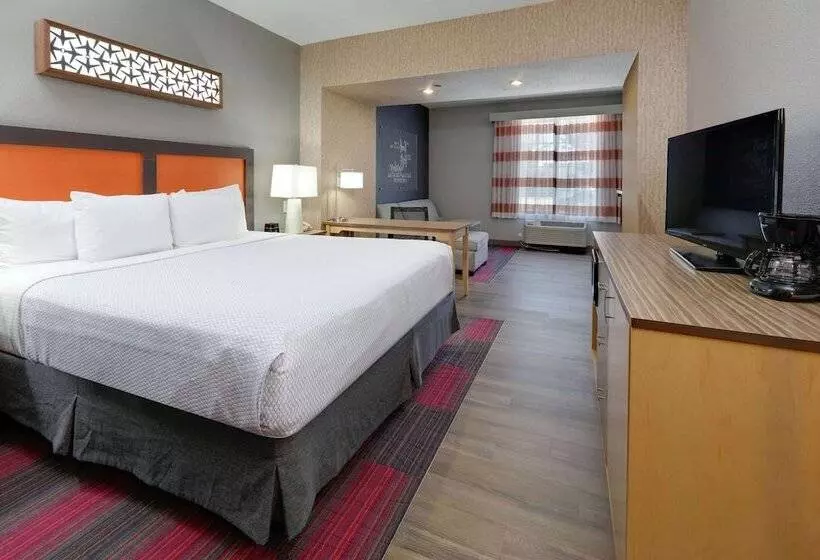 身障者適用スタンダードルーム, La Quinta By Wyndham Dallas Love Field