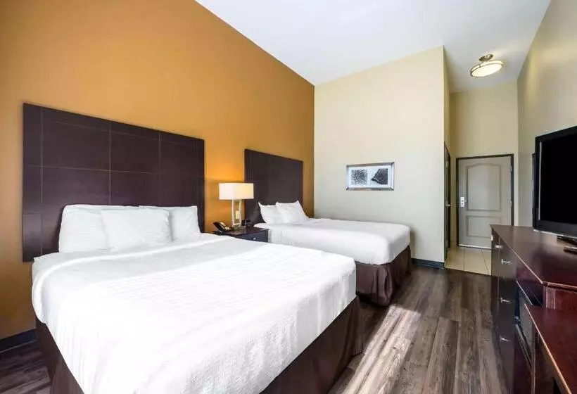 デラックスルーム, La Quinta By Wyndham Marshall
