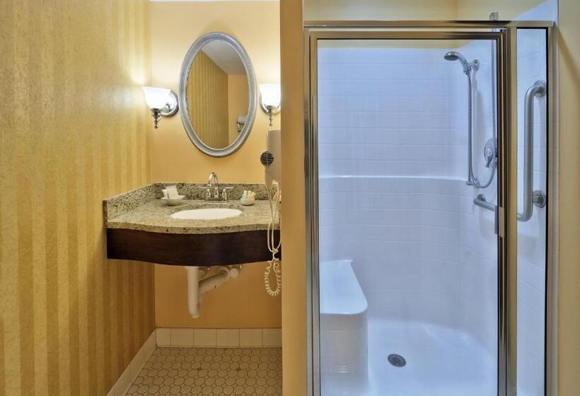 غرفة قياسية لذوى الاحتياجات الخاصة, Main Street Inn