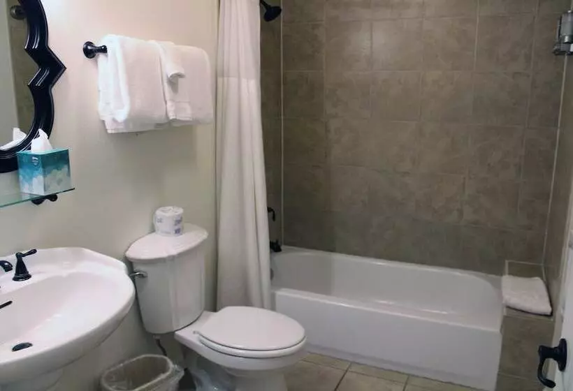 スイート, Silverton Inn & Suites