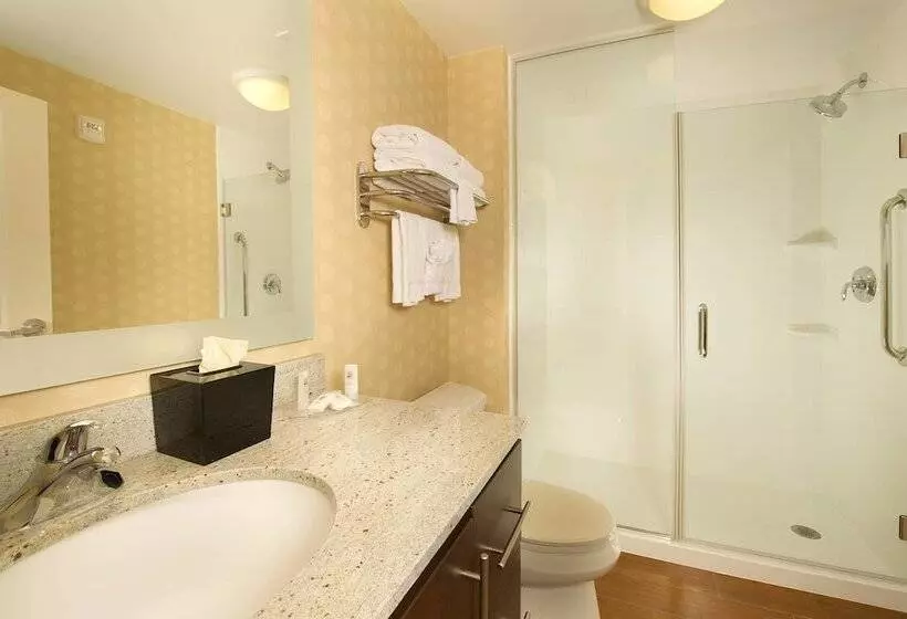 スイート, Towneplace Suites Bridgeport Clarksburg