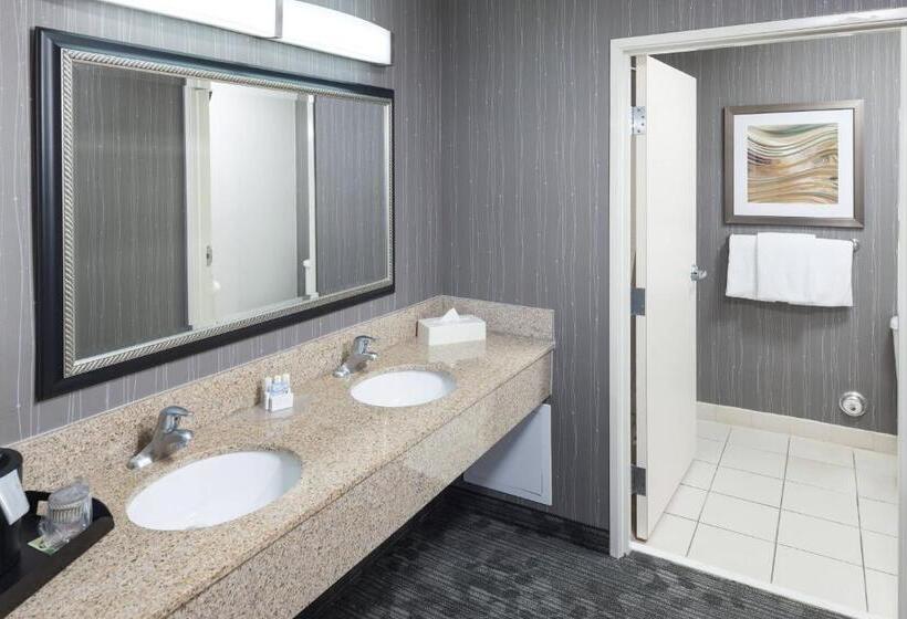 Студио Стандарт Кровать Кинг, Courtyard By Marriott Birmingham Trussville