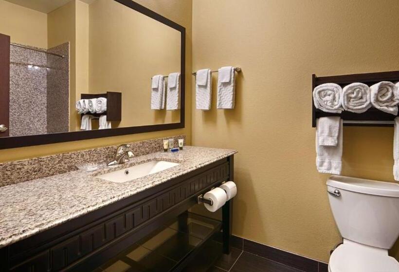 스탠다드 룸, Best Western Plus Carrizo Springs Inn & Suites