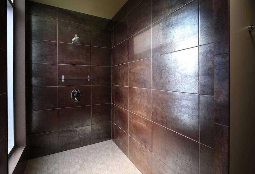 סטודיו דלוקס, Tulyp, Tapestry Collection By Hilton