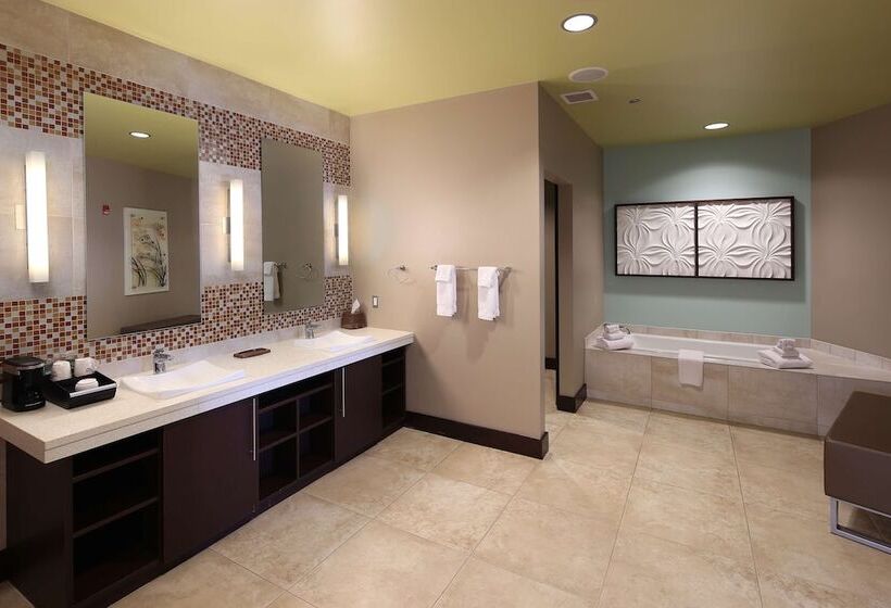 סטודיו דלוקס, Tulyp, Tapestry Collection By Hilton