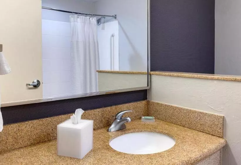 身障者適用スタンダードルーム, Courtyard By Marriott Oklahoma City North/quail Springs