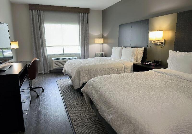 スタンダードトリプルルーム, Domus Lina