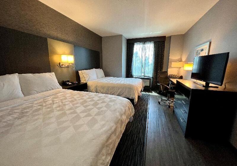 スタンダードトリプルルーム, Domus Lina