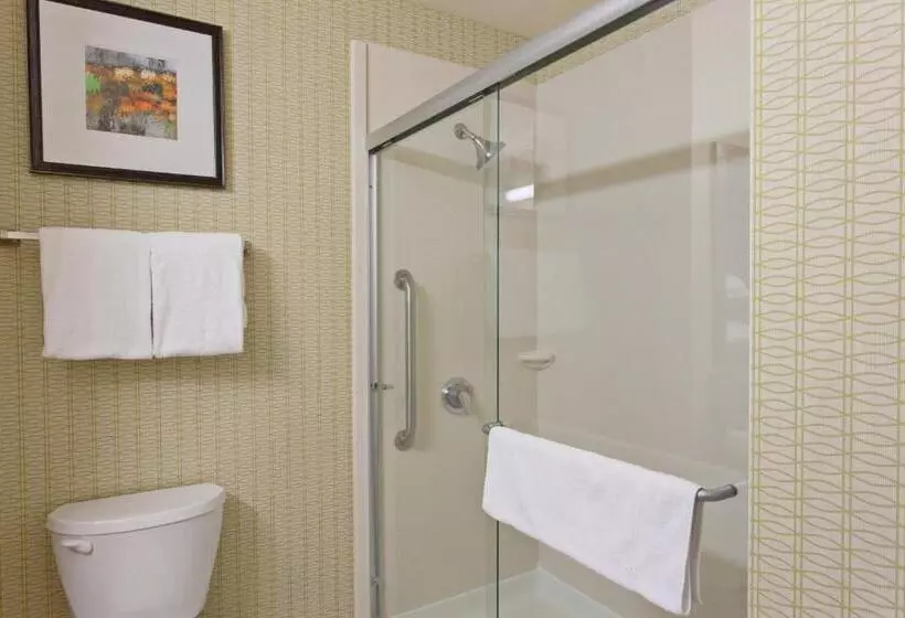 Executive-huone King-vuode, Holiday Inn Express & Suites Tacoma Downtown, An Ihg