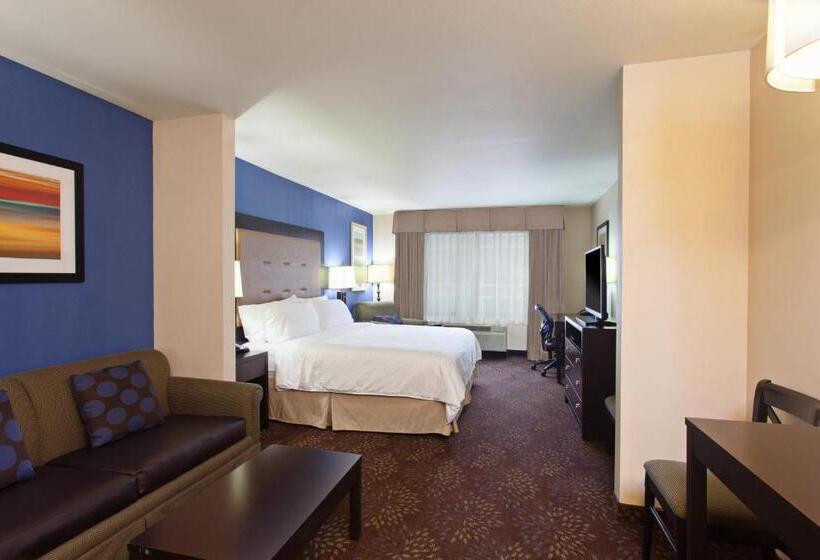 جناح سرير كينج, Holiday Inn Express & Suites Tacoma Downtown, An Ihg