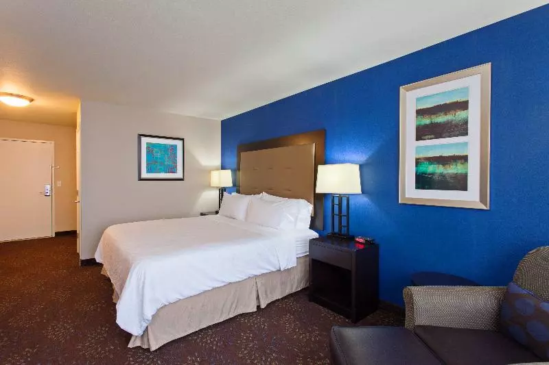 Standard-invahuone King-vuode, Holiday Inn Express & Suites Tacoma Downtown, An Ihg