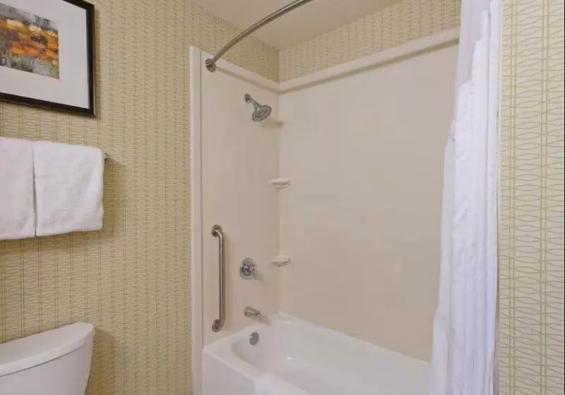 Sviitti Liikuntarajoitteisille, Holiday Inn Express & Suites Tacoma Downtown, An Ihg