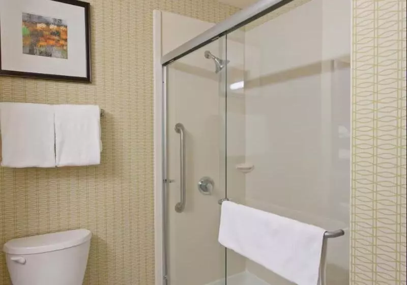 Standard-huone King-vuode, Holiday Inn Express & Suites Tacoma Downtown, An Ihg