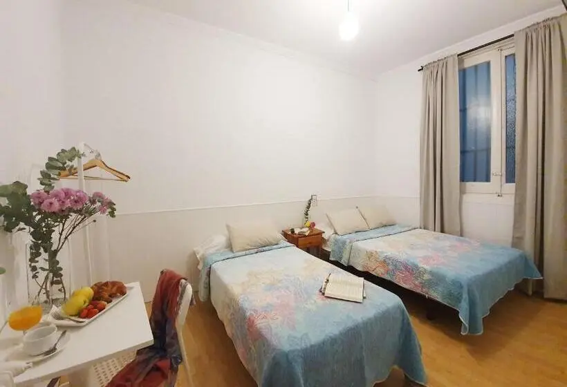اتاق استاندارد, Hostal Alicante