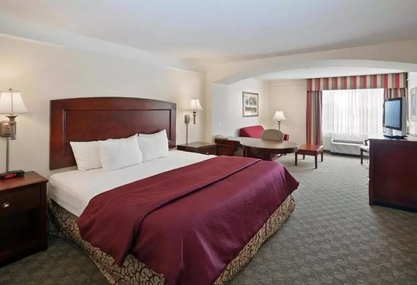 キングサイズベッドのデラックスルーム, La Quinta By Wyndham Dodge City