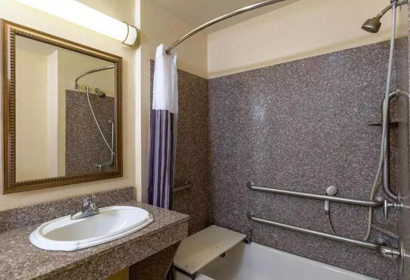 身障者適用クイーンサイズベッドルーム, La Quinta By Wyndham Dodge City