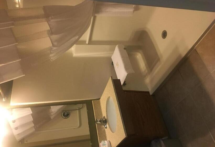 غرفة قياسية لذوى الاحتياجات الخاصة, Suburban Studios Morgantown