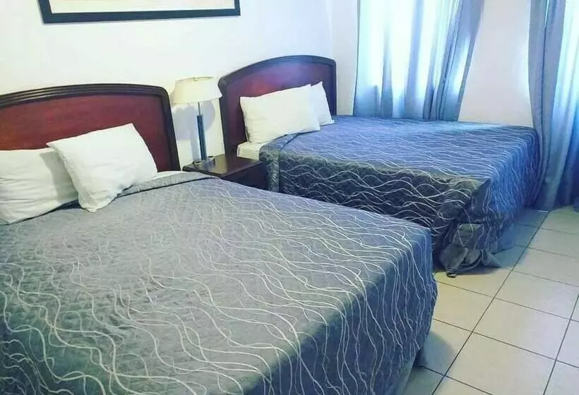 اتاق اجرایی, Terranova Suites