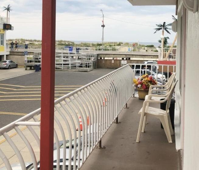 豪华房间, Sahara Motel