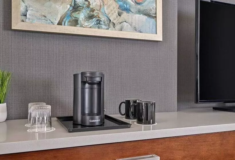 エクゼクティブルーム, Springhill Suites By Marriott Denver Downtown