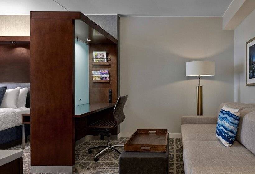 行政房间, Springhill Suites By Marriott Denver Downtown