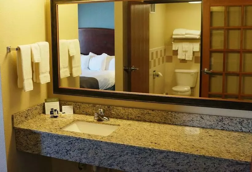 デラックススイート, Americinn By Wyndham Fort Dodge