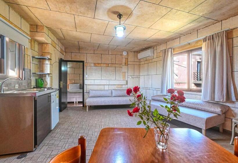 带1个卧室的公寓, Anemomili Village