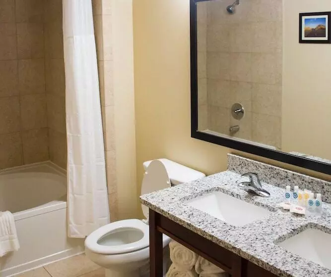 スイート, Comfort Suites El Paso Airport