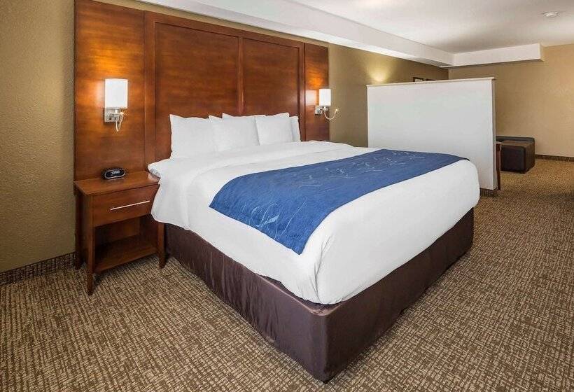 스위트, Comfort Suites El Paso Airport