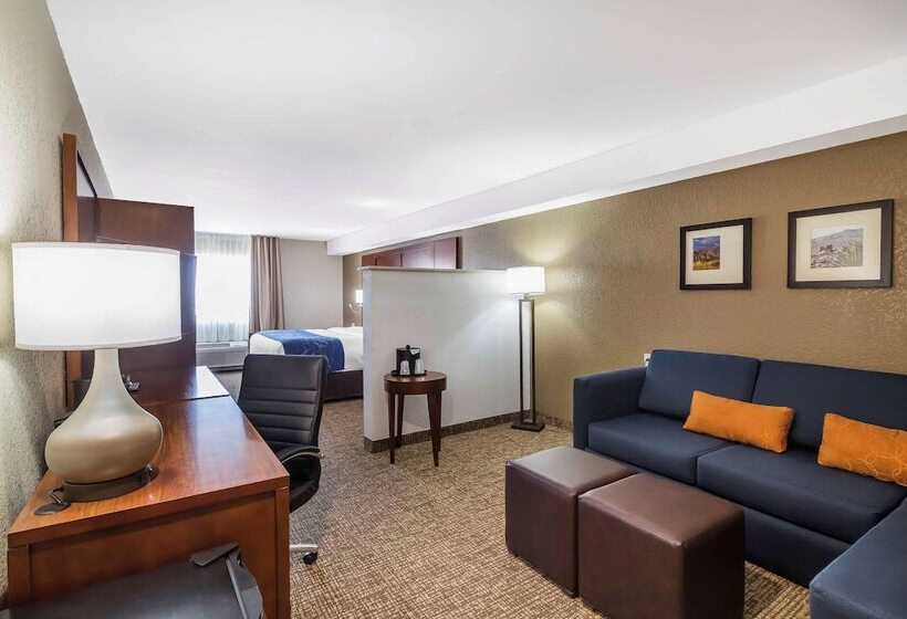 스위트, Comfort Suites El Paso Airport