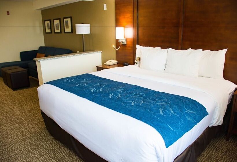 스위트, Comfort Suites El Paso Airport