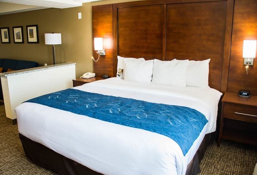 스위트, Comfort Suites El Paso Airport