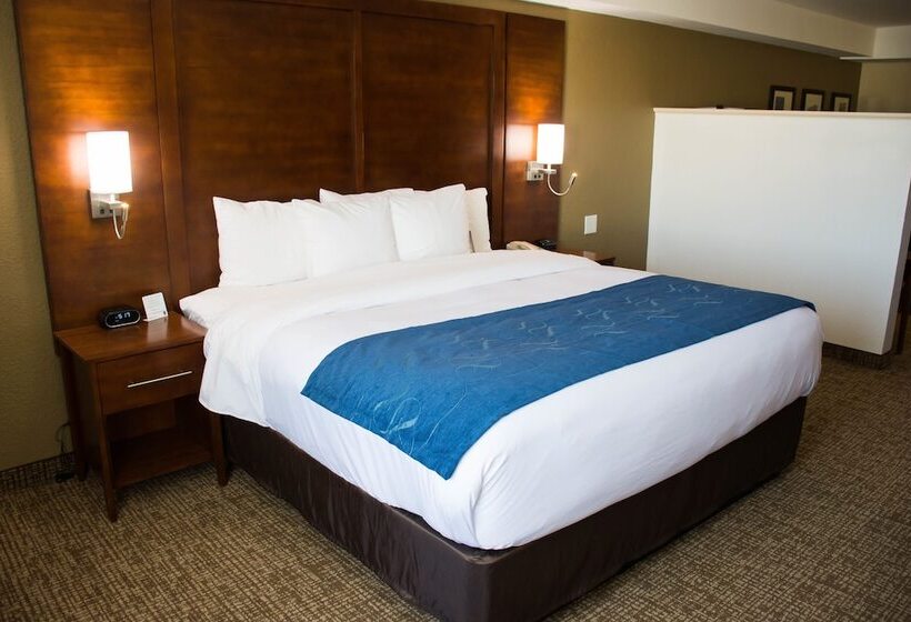 스위트, Comfort Suites El Paso Airport